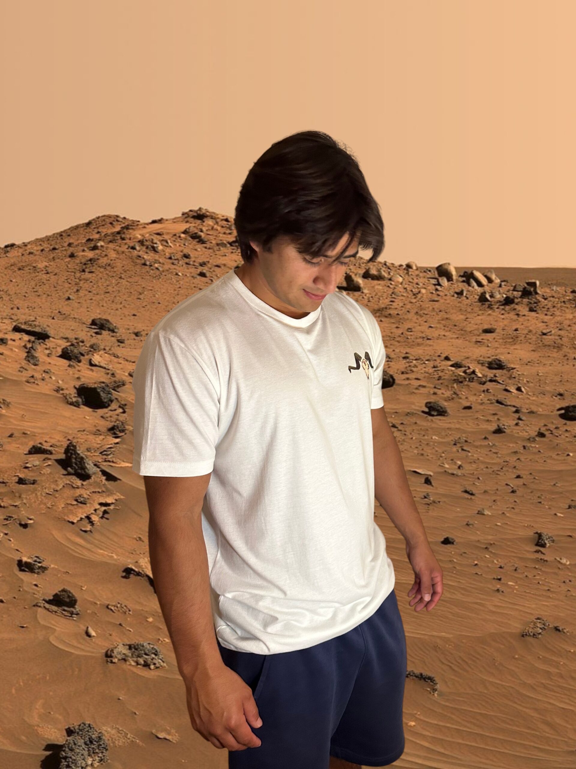 Aries "Ram Skull" T-Shirt - Image 2