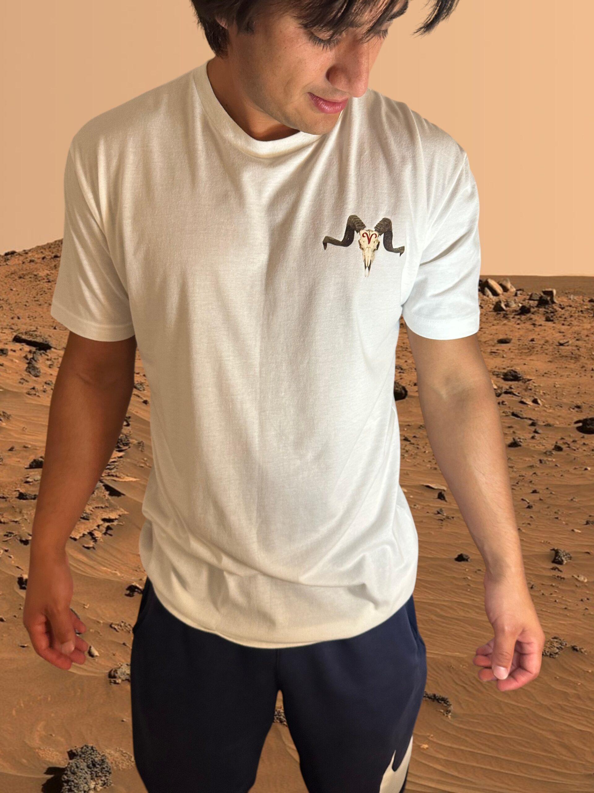 Aries “Ram Skull” T-Shirt